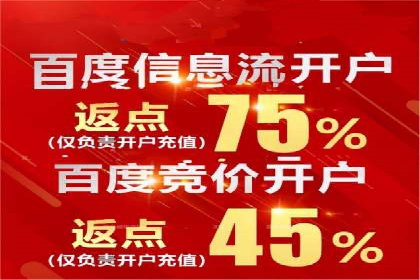 案例分享：SEM优化实战案例解析